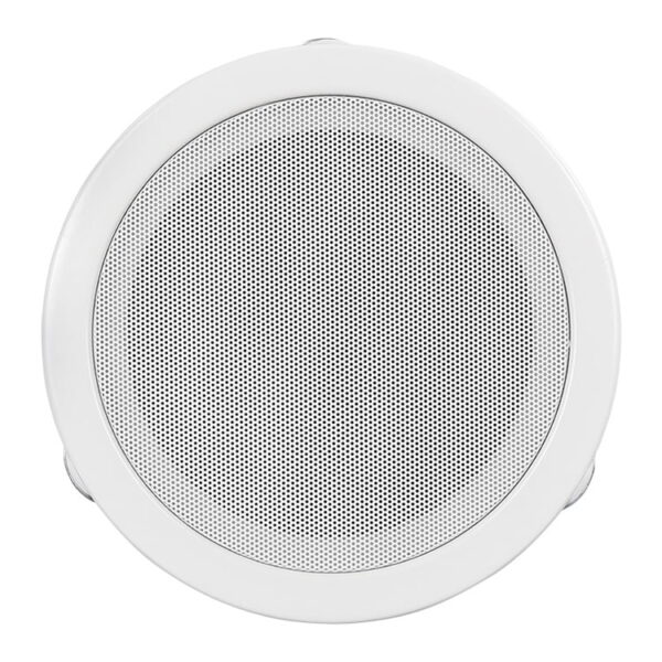 ceiling-speaker-1