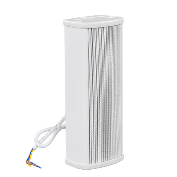 R-E210 Column Speaker-1