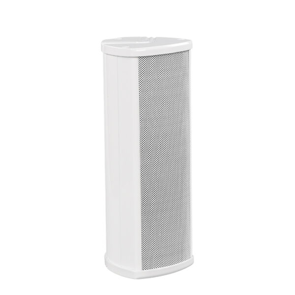 R-E310 Column Speaker-1
