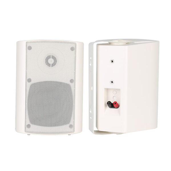 Wall-Mouted-Speaker-R-674-2