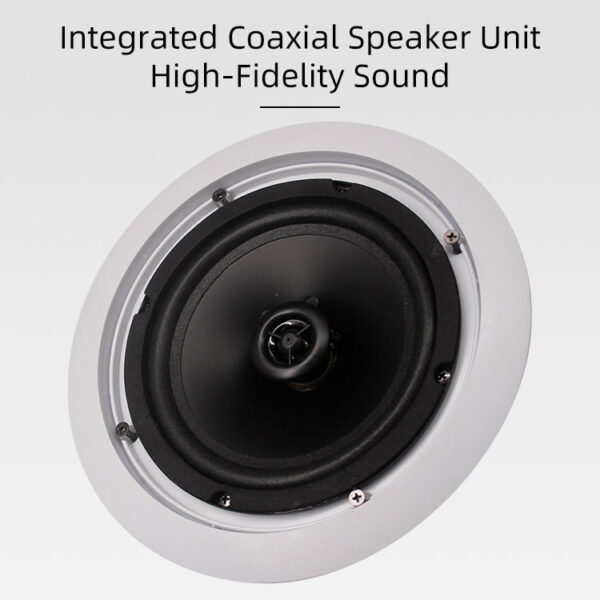 ceiling-speaker-04
