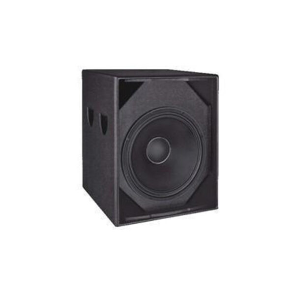 S15-professional-speaker-1